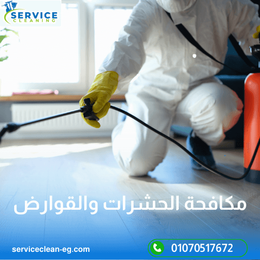 شركات مكافحة الحشرات في مصر